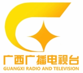 广西都市频道广告折扣,广西电视台广告投放联系方式