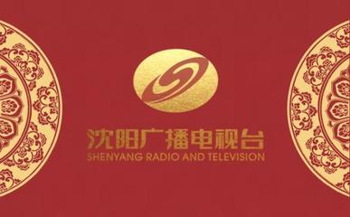 「沈阳广电全媒头条」沈阳崛起文化新地标--沈阳广电传媒文化博物馆(一期)落成并启动内部试运行